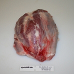 Gallinella